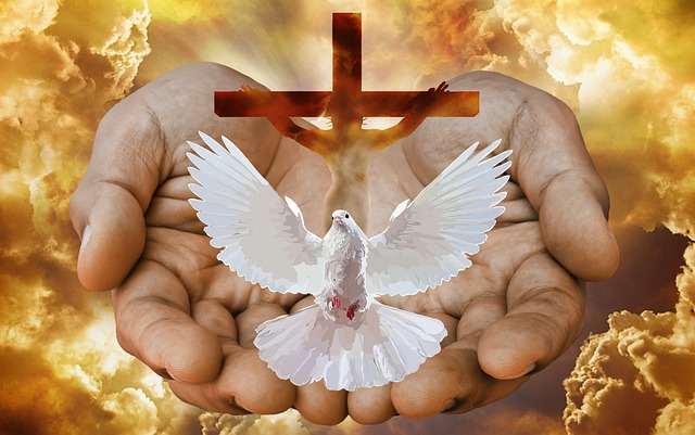 dove, cross, hands, fire, god, trinity, holy, triune, holy spirit, holy ghost, father, son, jesus, church, christian, gold, golden, religion, christianity, faith, worship, prayer, dove, trinity, trinity, trinity, holy spirit, holy spirit, holy spirit, holy spirit, holy spirit, jesus